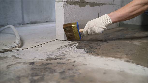 Top rated local Crawl Space Encapsulation specialists in Mount Hope, KS